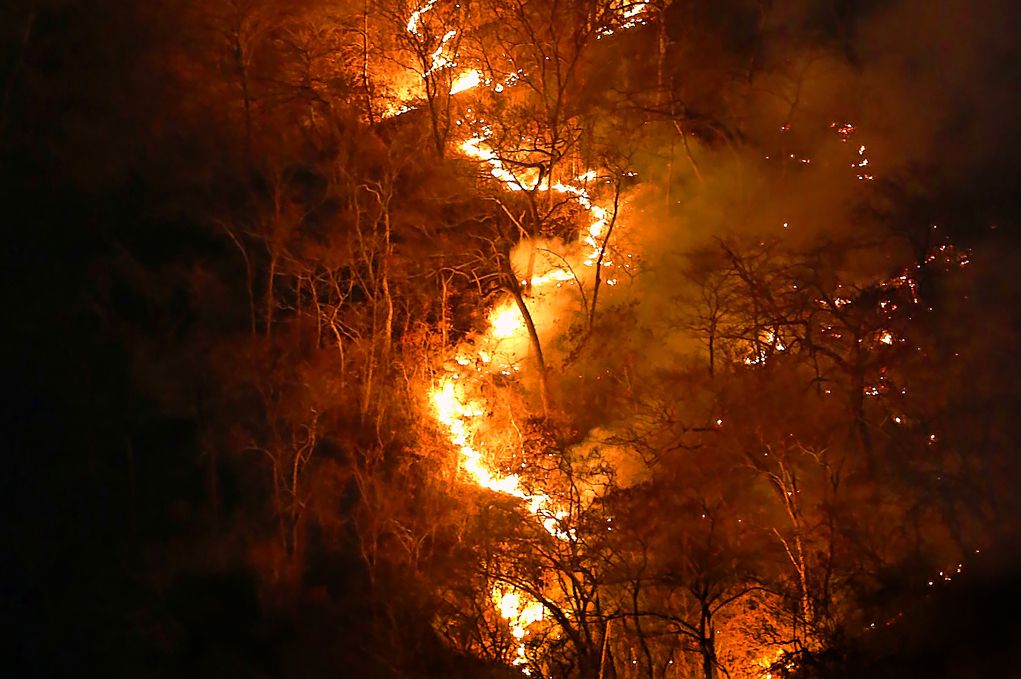 incendios Amazonas