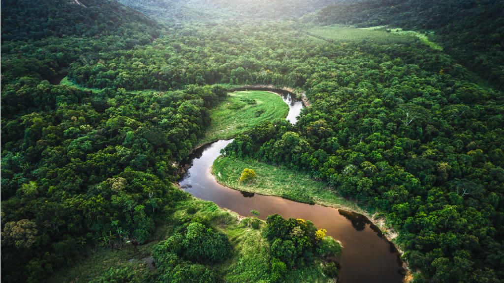 amazonía, Amazonas